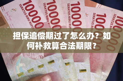 济南担保追偿期过了怎么办？如何补救算合法期限？